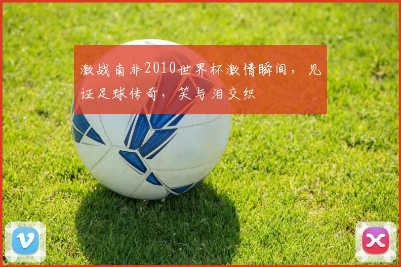 激战南非2010世界杯激情瞬间，见证足球传奇，笑与泪交织