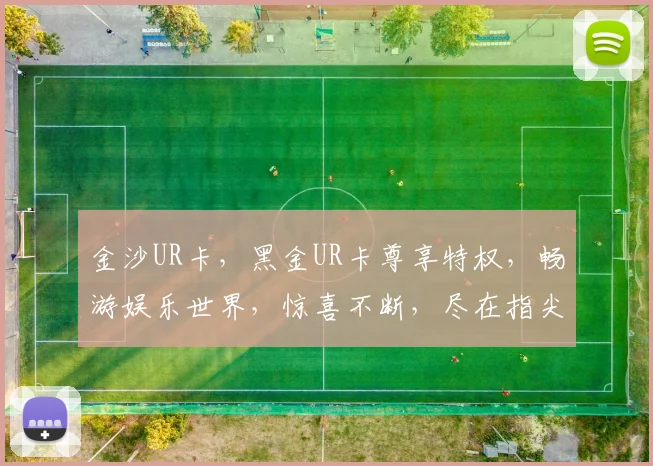 金沙UR卡，黑金UR卡尊享特权，畅游娱乐世界，惊喜不断，尽在指尖