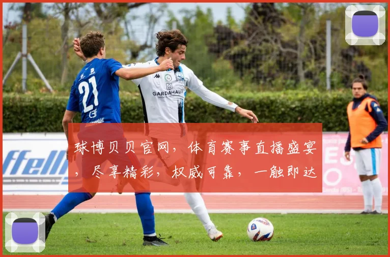 球博贝贝官网，体育赛事直播盛宴，尽享精彩，权威可靠，一触即达