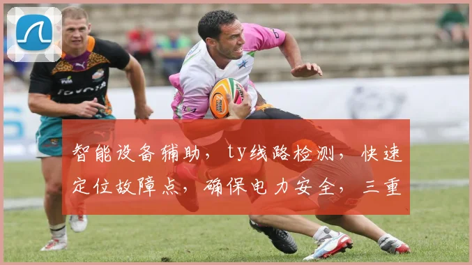 智能设备辅助，ty线路检测，快速定位故障点，确保电力安全，三重保障，专业可靠。