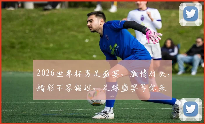 2026世界杯男足盛宴，激情对决，精彩不容错过，足球盛宴等你来