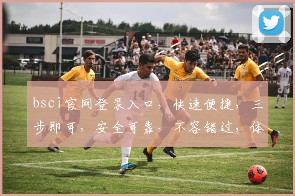 bsci官网登录入口，快速便捷，三步即可，安全可靠，不容错过，体验非凡