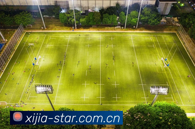 奖项图1